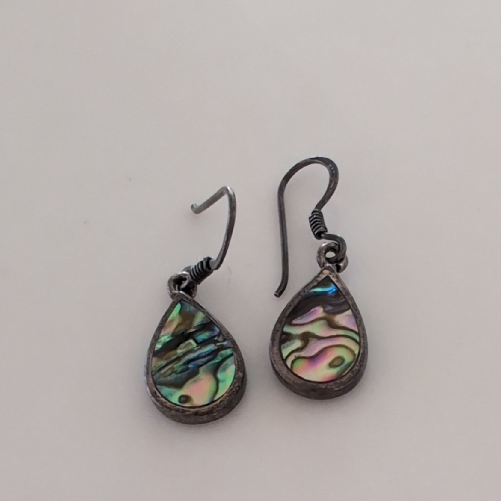 Elegant Abalone Teardrop Earrings